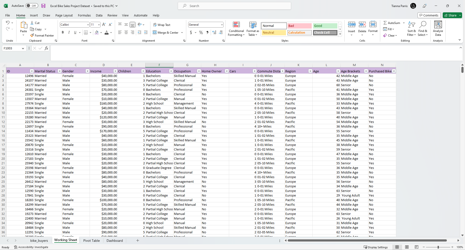 Excel Worksheet after Data Cleaning